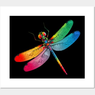 Colorful Dragon Fly Posters and Art